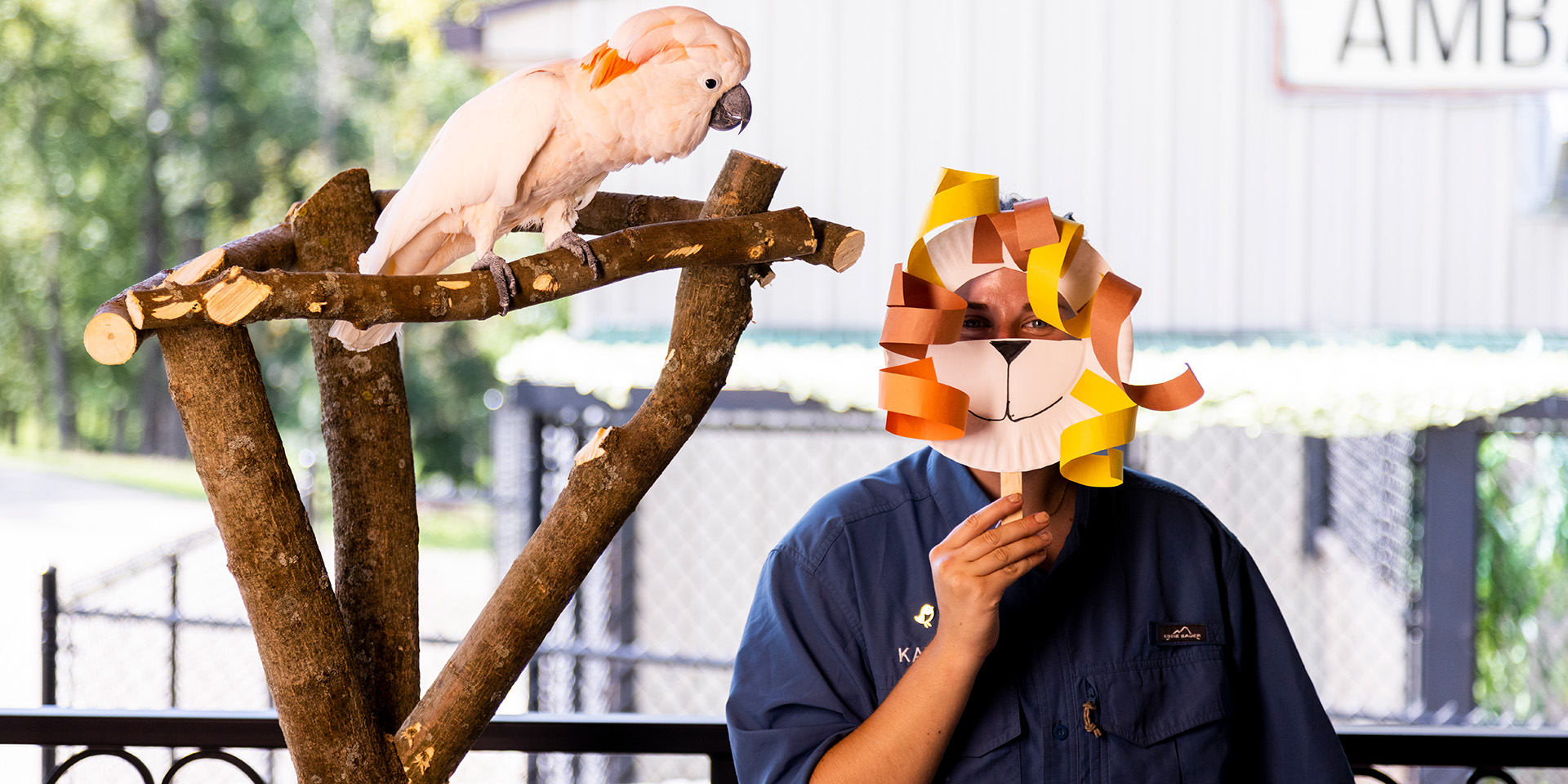 Kid-friendly vacations and activities at Nemacolin with a pink parrot on a branch beside a person covering his face with a hand-made lion mask