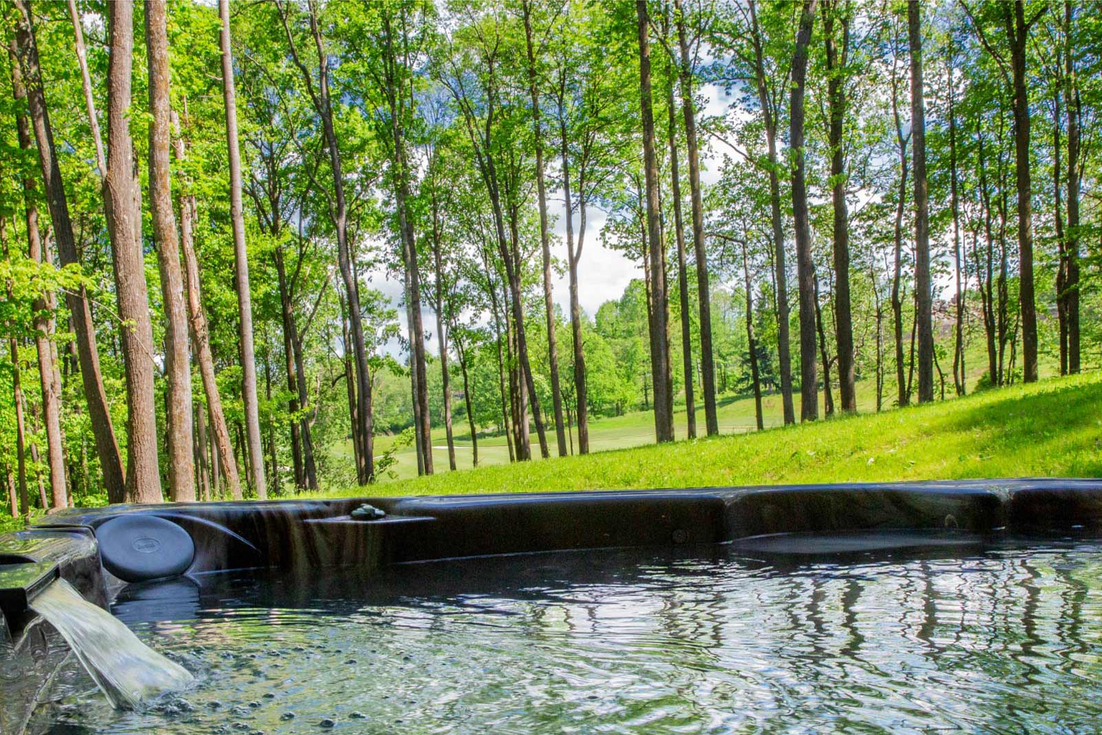 Outdoor shot of the nature and lake