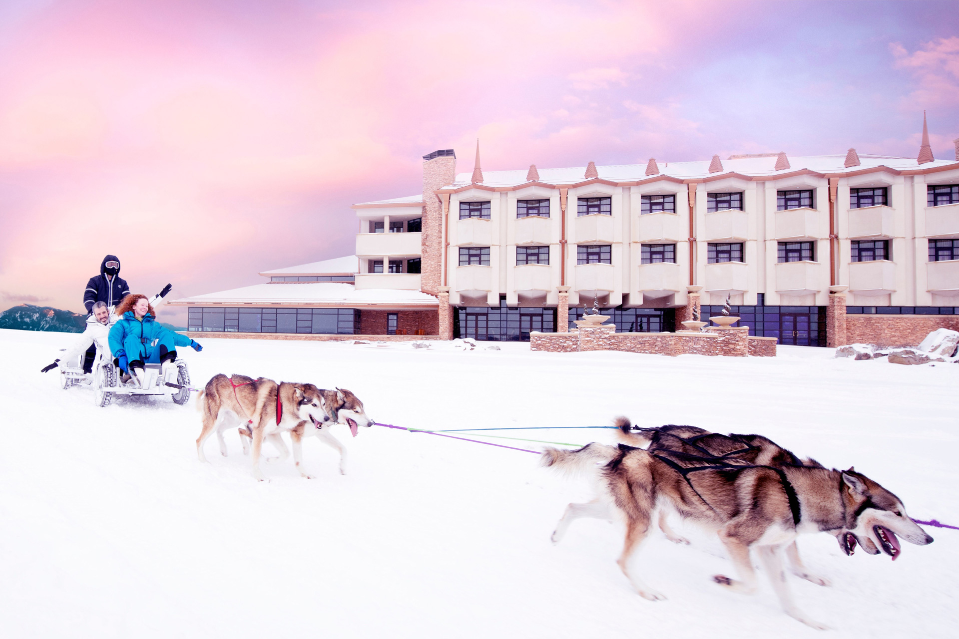 Open gallery overlay: beautiful image of sledding with dogs and a sunset