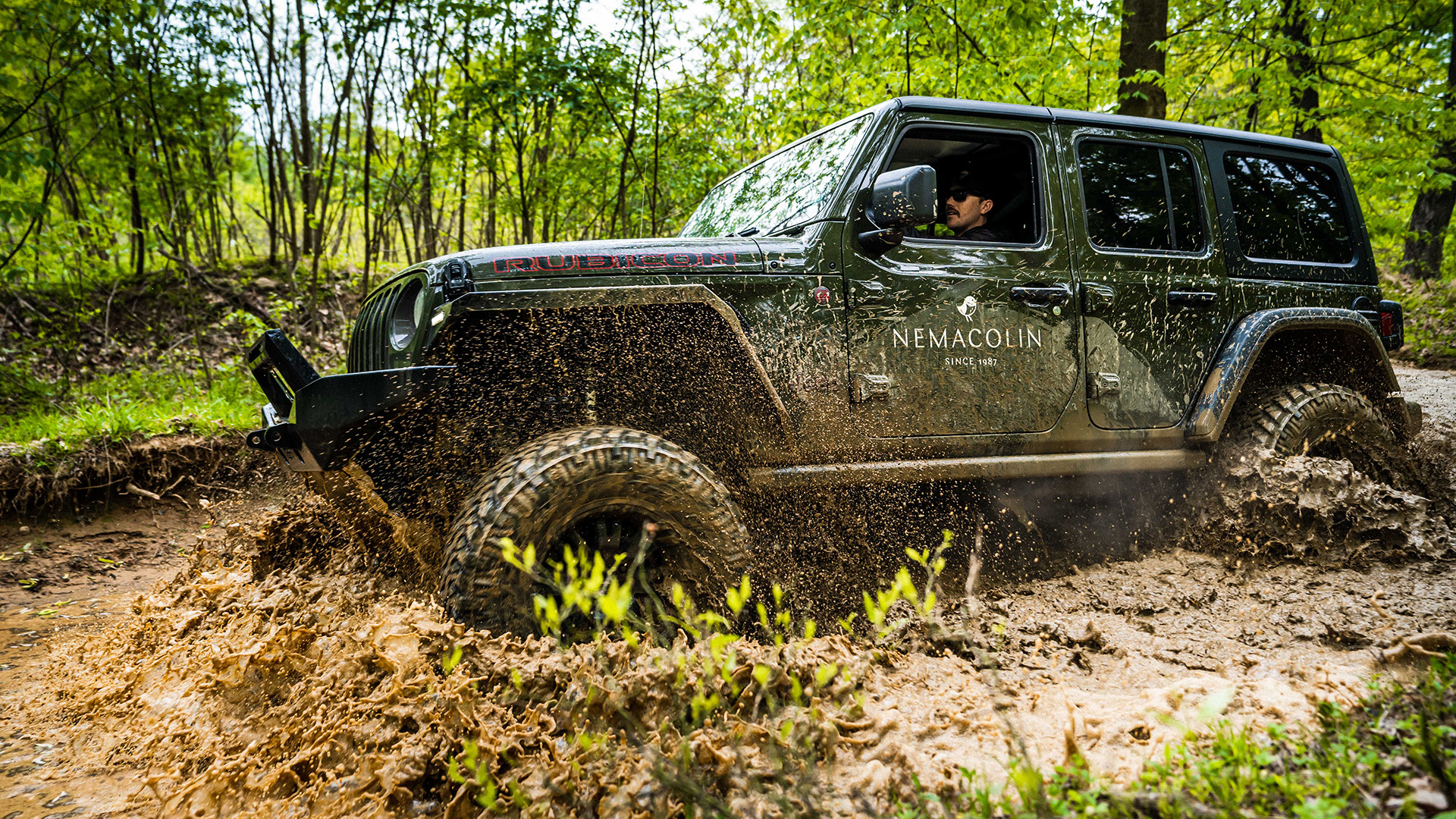 jeep driving in the woods